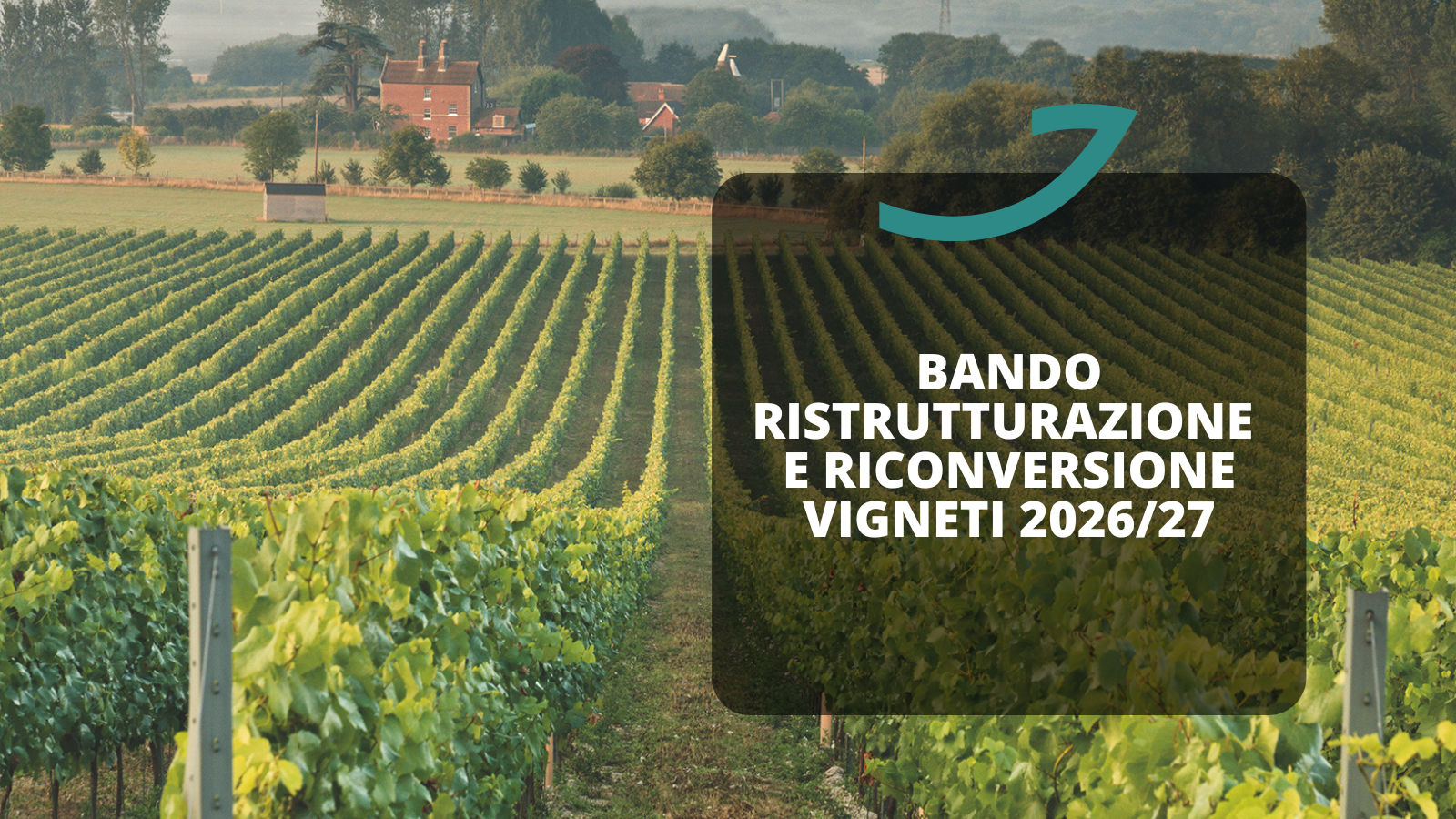 ristrutturazione e riconversione vigneti 2026 2027